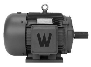 General Purpose AC Motors, Industrial Duty Three-Phase | OME Series